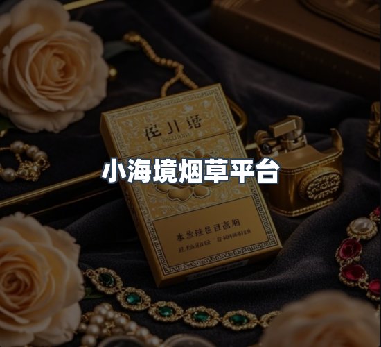 关于小海境烟草平台
